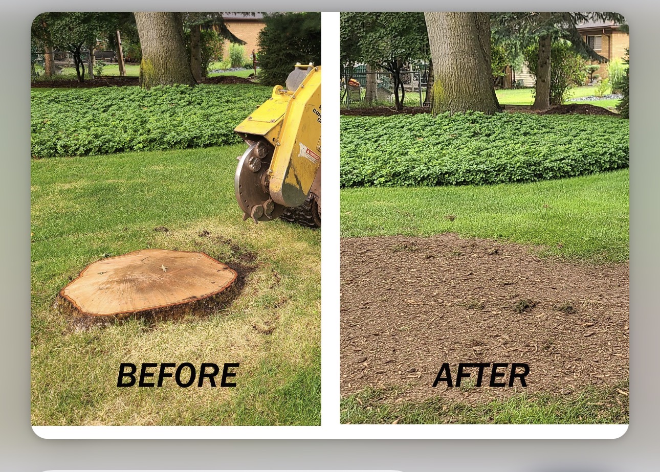 Before and after stump grinding in a Lincoln, Nebraska yard